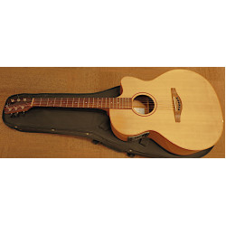 Avalon AS100CE incl softcase