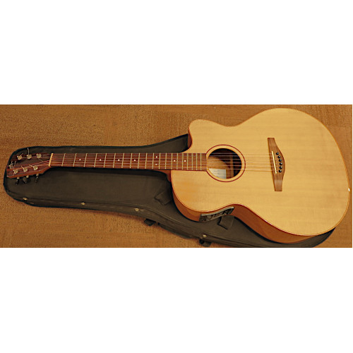 Avalon AS100CE incl softcase