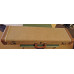 Fender Deluxe 6 Stringmaster Steelguitar