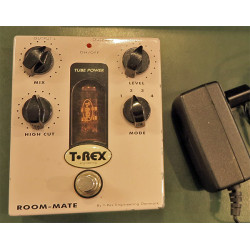 T Rex Room Mate V1