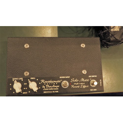 Vanamps Reverbamate Sole Mate