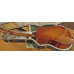 Eastman E10D-TC incl koffer