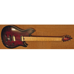 EVH Wolfgang Special HT EVH Wolfgang Special HT