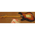 Fender Stratocaster Player Plus