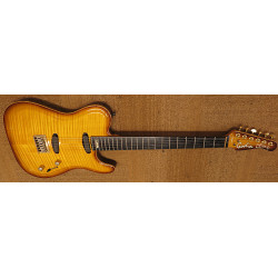 Godin Artisan TC Signature Godin Artisan TC Signature