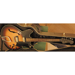 Hagstrom Viking I incl koffer