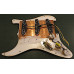Lollar Special S Prewired set, aged turtoise CTS etc