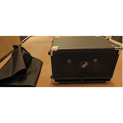 Phil Jones Compact C2 2x5 cabonet