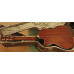 Recording King RP1-626c Schoenberg Cutaway Single-0, koffer