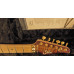 Suhr Custom Modern T FR Custom Order