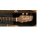Takamine NP18C LTD incl koffer