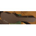 Takamine NP18C LTD incl koffer