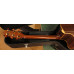 Takamine NP18C LTD incl koffer