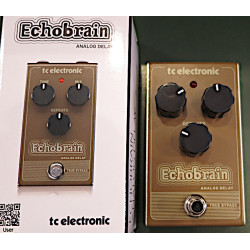 TC Electronic Echo Brain analog delay TC Electronic Echo Brain analog delay