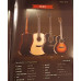 Voki M30GA-E incl gigbag