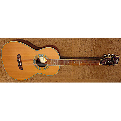 Washburn WP11SNS parlor 12fret