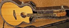 Eastman AC630CE incl koffer