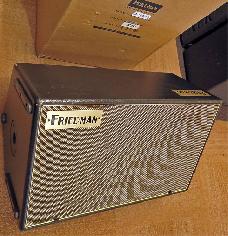 Friedman ASM12 500W powered FR monitor